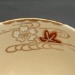 画像7: 瀬戸焼 四季彩抹茶碗 (7)