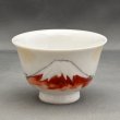 画像5: 京絵付煎茶器揃　赤富士 (5)
