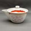画像2: 京絵付煎茶器揃　赤富士 (2)