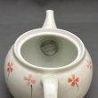 画像3: 美濃焼小花柄ポット茶器セット (3)