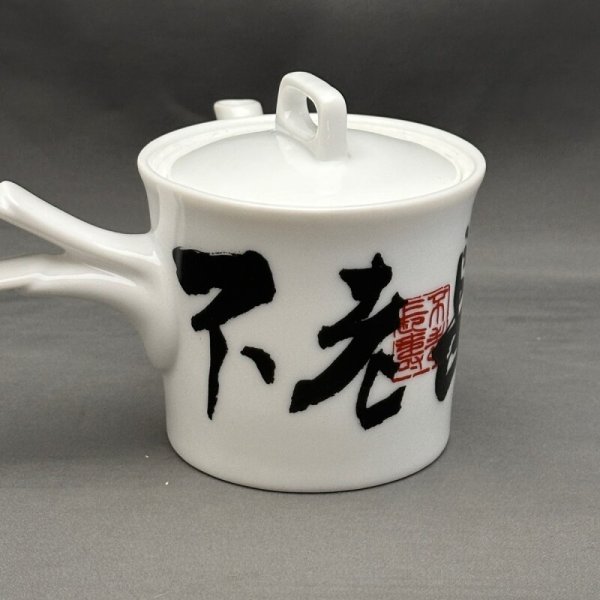 画像1: 美濃焼白磁切立急須　不老長寿 (1)