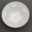 画像4: 美風桜型内底桜煎茶湯呑 ５客揃 (4)