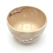 画像6: 八木海峰作　シマエナガ抹茶碗 (6)