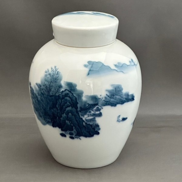 画像1: 山水 茶壺 (1)