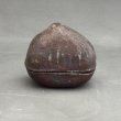 画像1: 香合 栗 (1)
