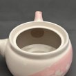 画像3: 美濃焼桜柄帯網急須 (3)