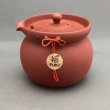 画像1: 常滑焼石龍作朱泥福松皮急須 (1)