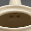 画像2: 常滑焼中国茶用急須　茶壺（ちゃふう） (2)