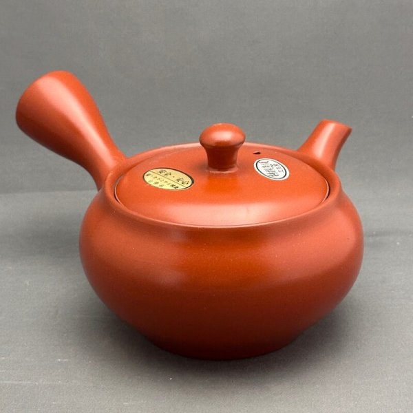 画像1: 朱泥平網急須 (1)