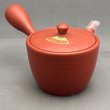 画像1: 常滑焼金網急須 (1)