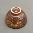 画像5: 信楽焼手作り煎茶器 (5)