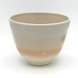 画像2: 八木海峰作　京焼　手描き抹茶碗(椿) (2)