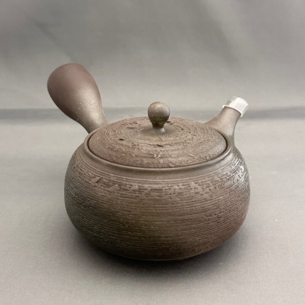 画像1: 常滑焼松皮帯網急須 (1)