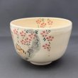 画像2: 八木海峰作　猫と桜抹茶碗 (2)