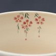 画像6: 八木海峰作　猫と桜抹茶碗 (6)
