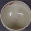 画像5: 八木海峰作 清水焼 手描き抹茶碗　柿とヤマセミ (5)