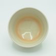 画像3: 八木海峰作 清水焼 手描き抹茶茶碗（春野） (3)