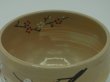 画像3: 八木海峰作 清水焼 手描き抹茶碗　梅とシマエナガ (3)