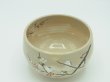 画像2: 八木海峰作 清水焼 手描き抹茶碗　梅とシマエナガ (2)