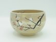 画像1: 八木海峰作 清水焼 手描き抹茶碗　梅とシマエナガ (1)